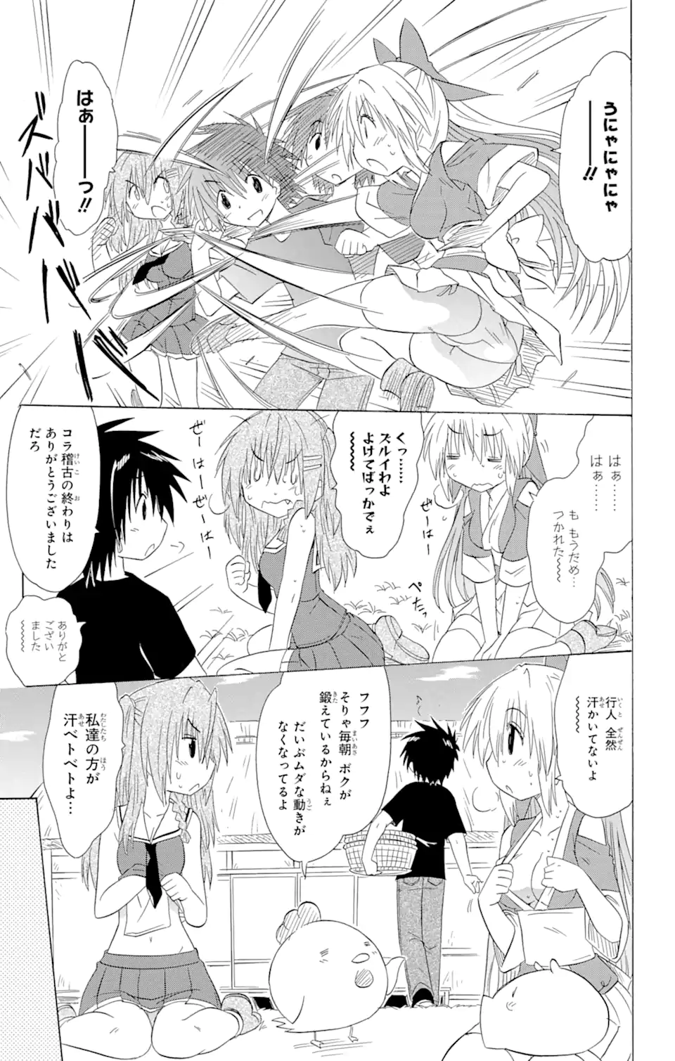 ながされて藍蘭島 Chap 139 - Next Chap 140