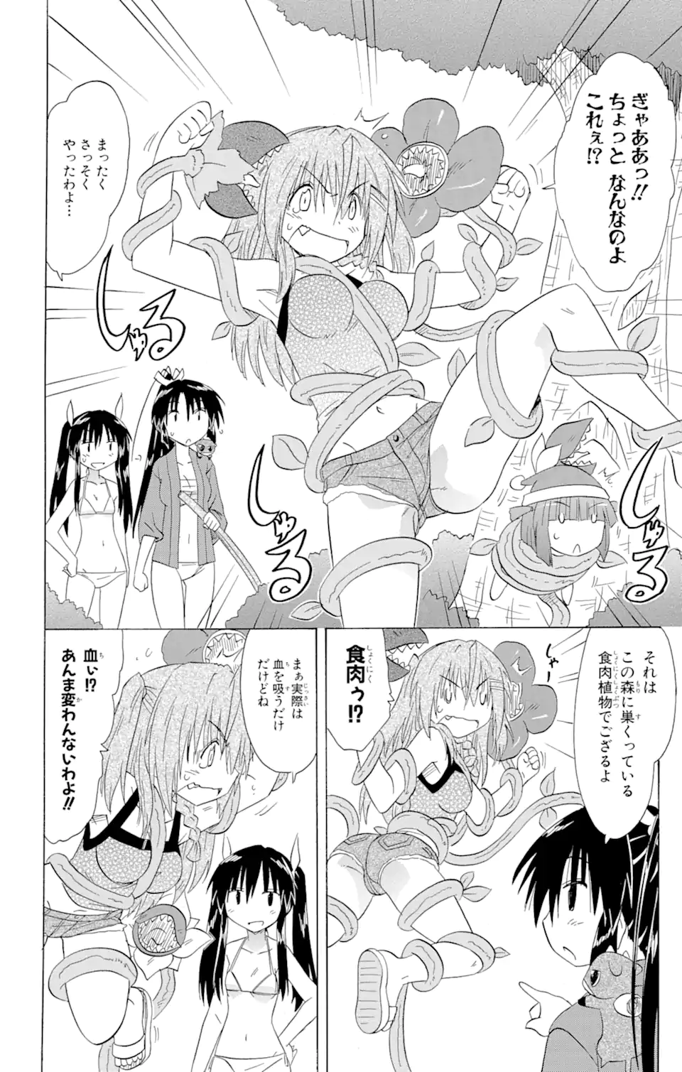 ながされて藍蘭島 Chap 137 - Next Chap 138