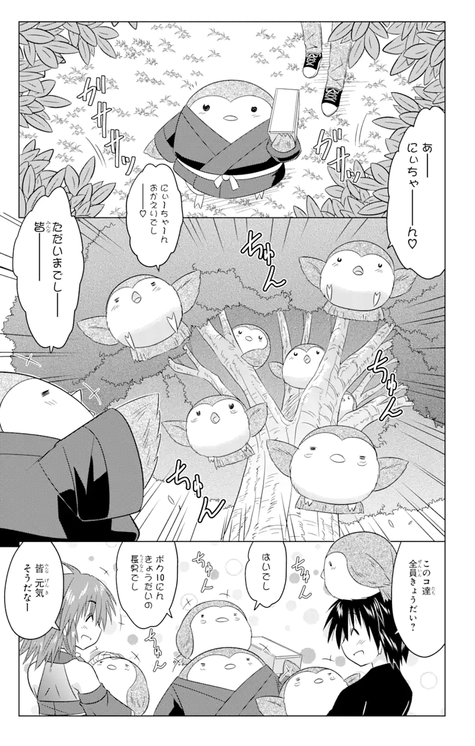 ながされて藍蘭島 Chap 245 - Next Chap 246