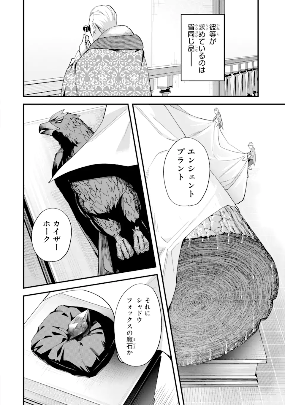 Nido Tensei Shita Shounen wa S Rank Boukensha Toshite Heion ni Sugosu - Zense ga Kenja de Eiyuu Datta Boku wa Raise dewa Jimini Ikiru Chap 45.1 - Next Chap 46.1