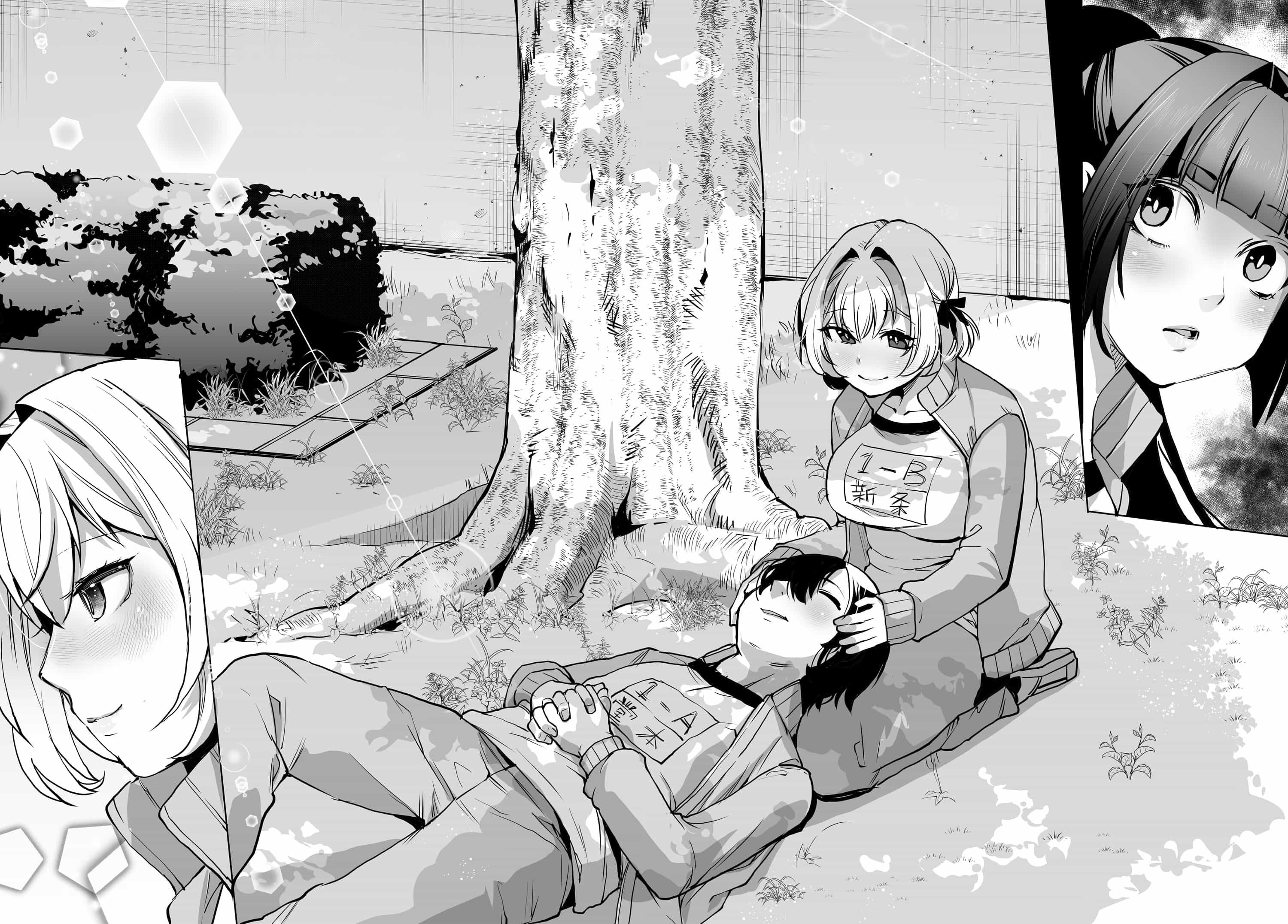 男嫌いな美人姉妹を名前も告げずに助けたら一体どうなる Chap 5 - Next Chap 6