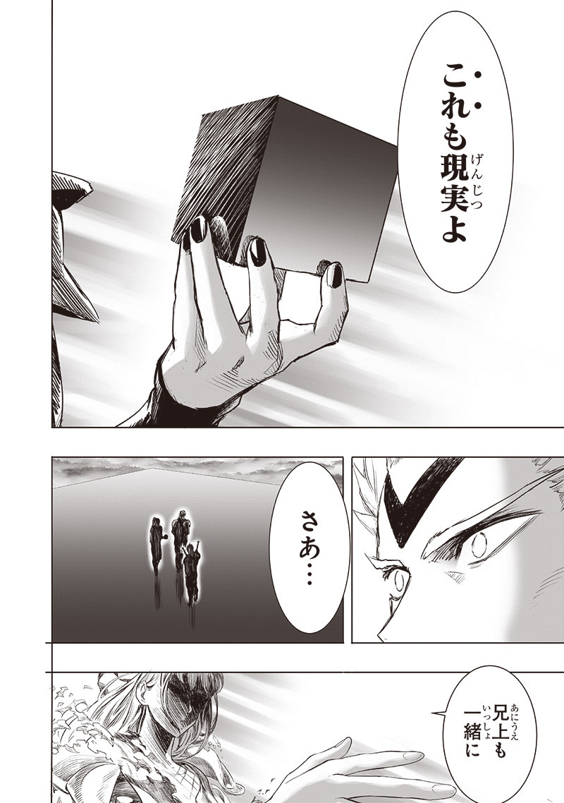 One Punch-Man Chap 256 - Next Chap 257