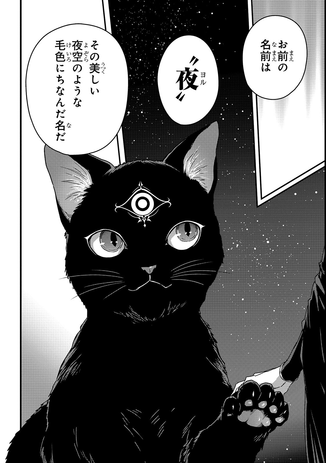 暗殺者である俺のステータスが勇者よりも明らかに強いのだが Chap 11 - Next Chap 12