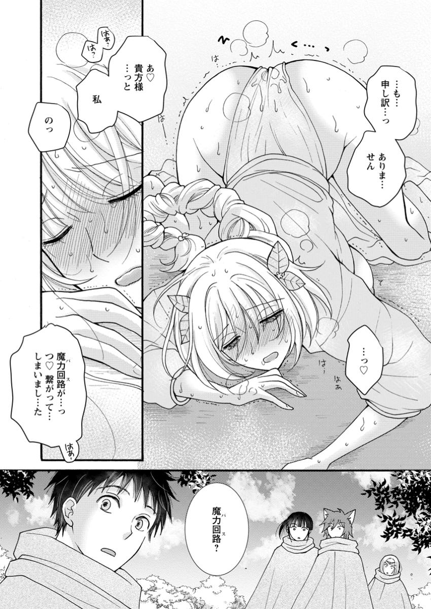Ataerareta Skill wo Tsukatte Kasei de Isekai Bijotachi to Ichaicha shitai Chap 24.2 - Next Chap 25.2