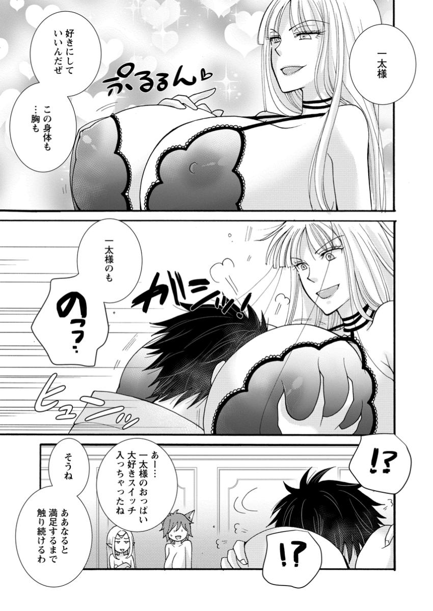 Ataerareta Skill wo Tsukatte Kasei de Isekai Bijotachi to Ichaicha shitai Chap 20.1 - Next Chap 21.1