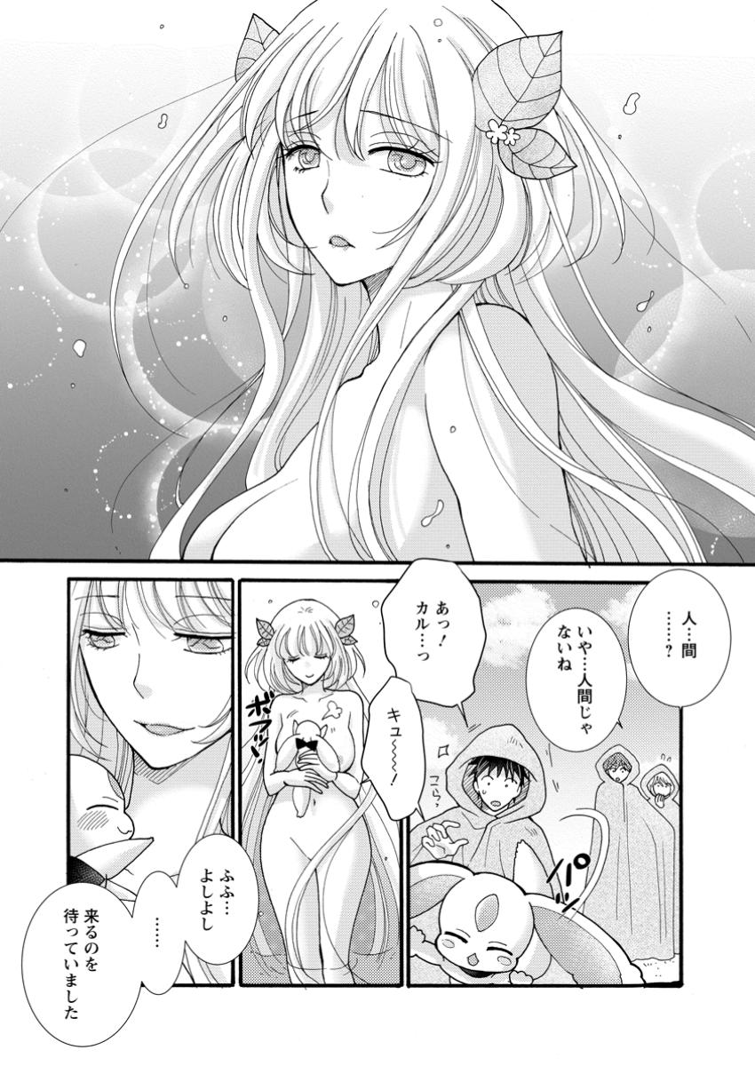 Ataerareta Skill wo Tsukatte Kasei de Isekai Bijotachi to Ichaicha shitai Chap 23.3 - Next Chap 24.3