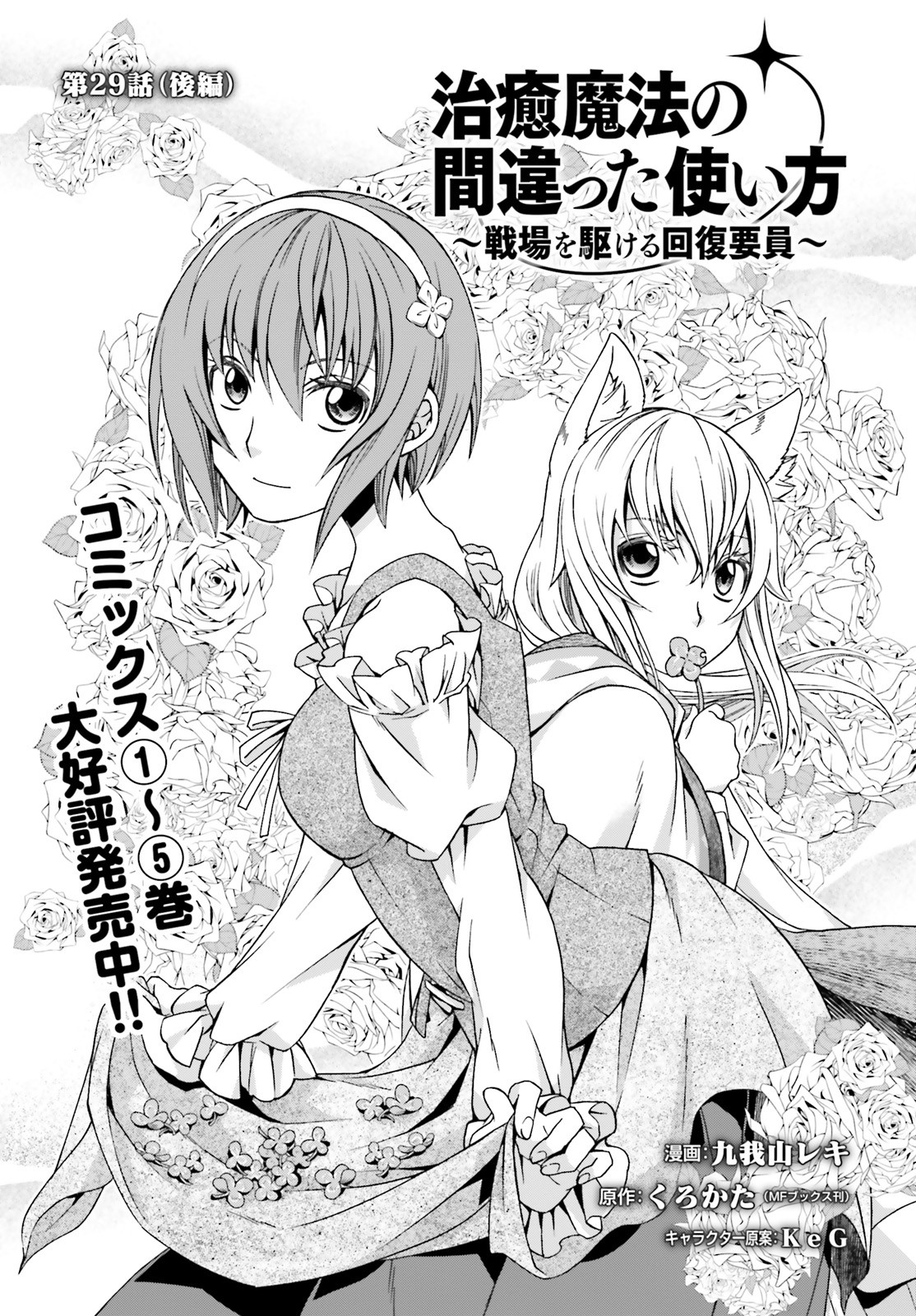 治癒魔法の間違った使い方 戦場を駆ける回復要員 Chap 29.2 - Next Chap 30.2