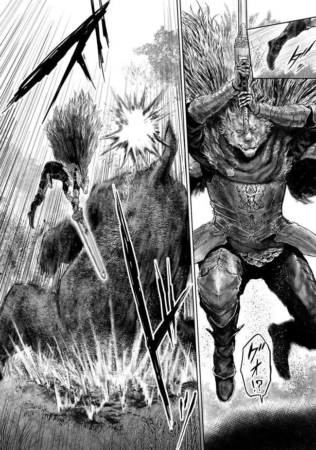 Elden Ring: Ougonju e no Michi Chap 4 - Next Chap 5