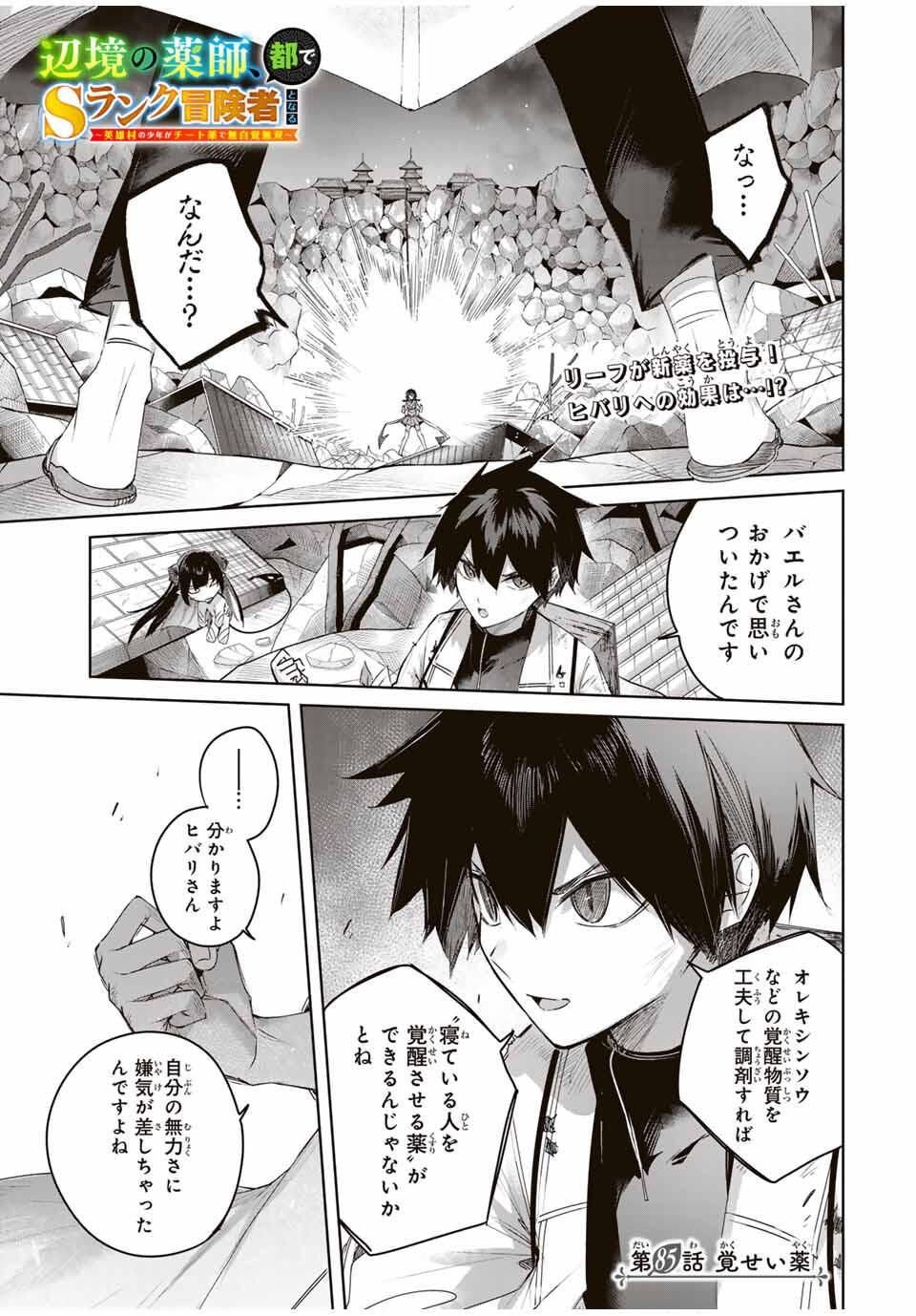 Henkyou no Yakushi, Miyako de S Rank Boukensha to naru Chap 85 - Next Chap 86