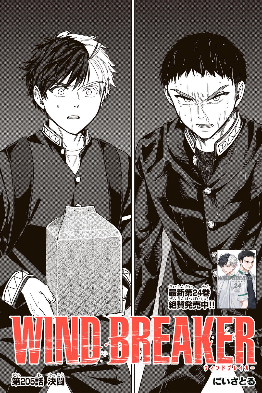 Windbreaker ウィンドブレイカー Wind Breaker (NII Satoru) Chap 205 - Next Chap 206