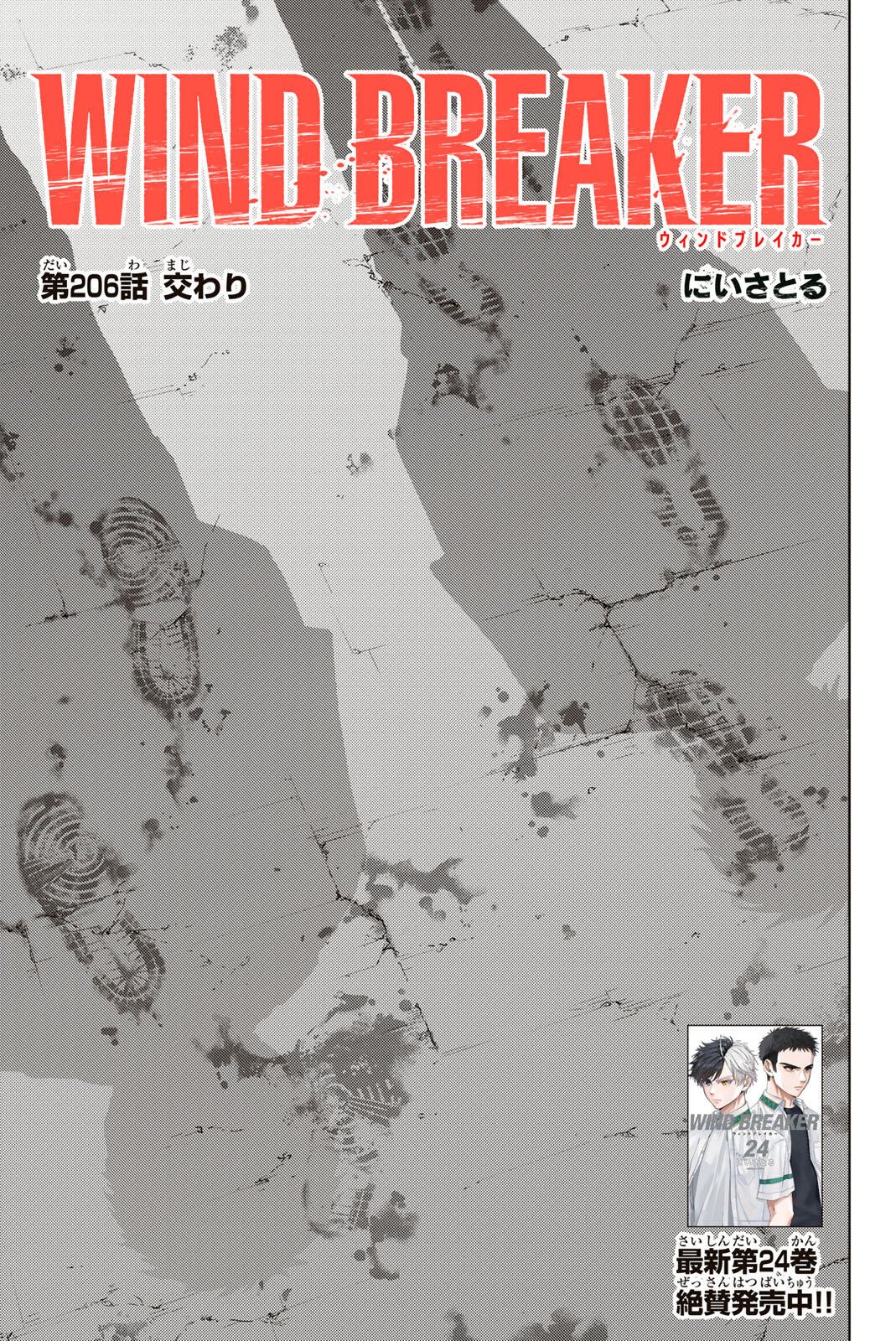 Windbreaker ウィンドブレイカー Wind Breaker (NII Satoru) Chap 206 - Next Chap 207