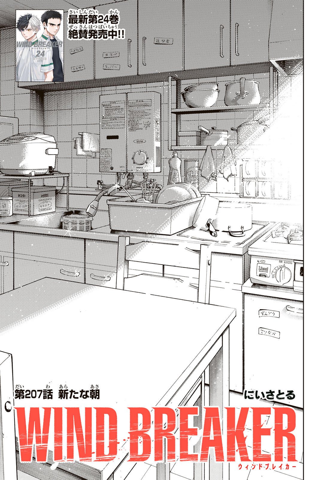 Windbreaker ウィンドブレイカー Wind Breaker (NII Satoru) Chap 207 - Next Chap 208