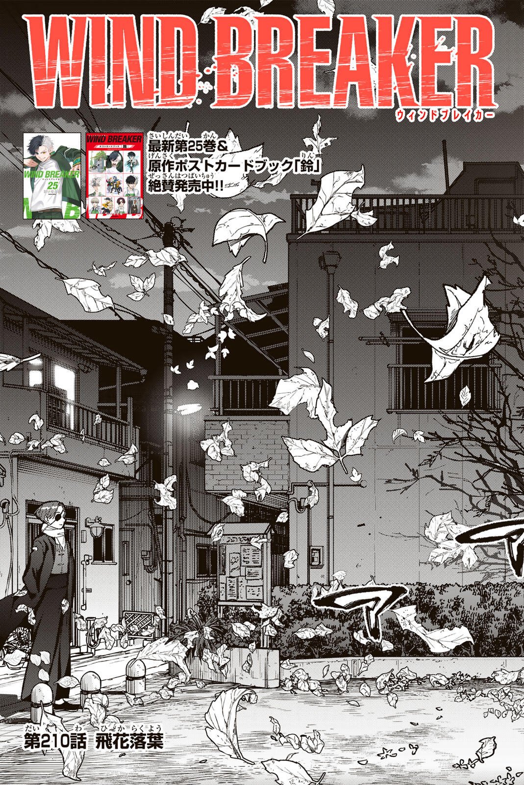 Windbreaker ウィンドブレイカー Wind Breaker (NII Satoru) Chap 210 - Next Chap 211