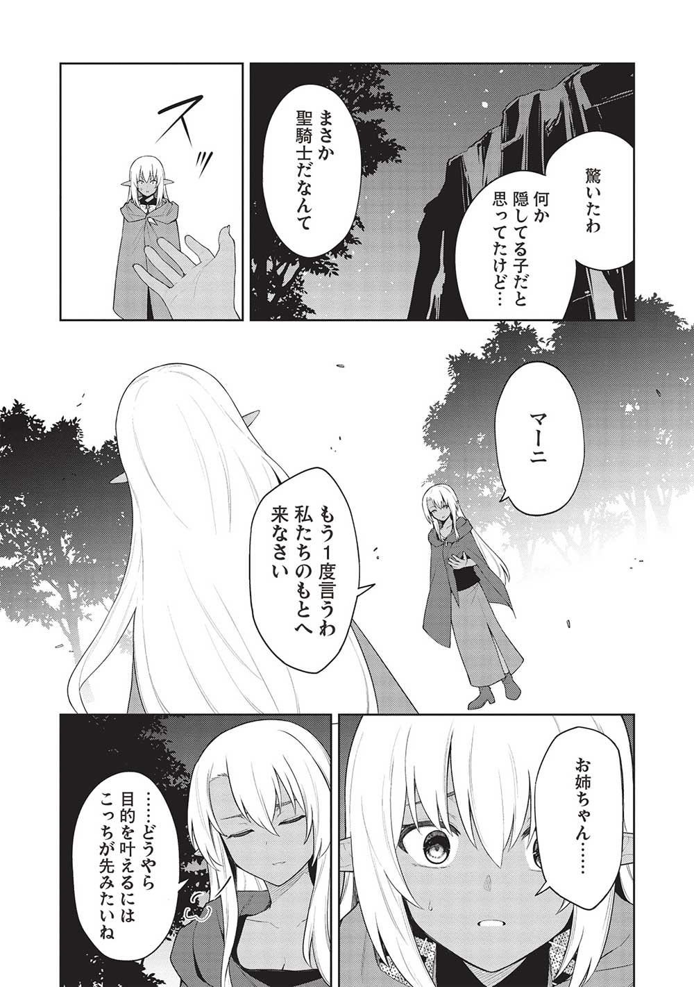Holy Knight's Dark Road Chap 28 - Next Chap 29