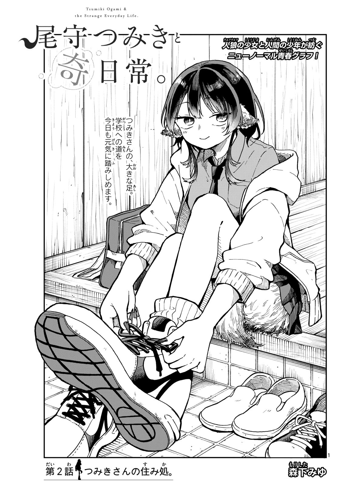 Ogami Tsumiki to Kinichijou. Chap 2 - Next Chap 3