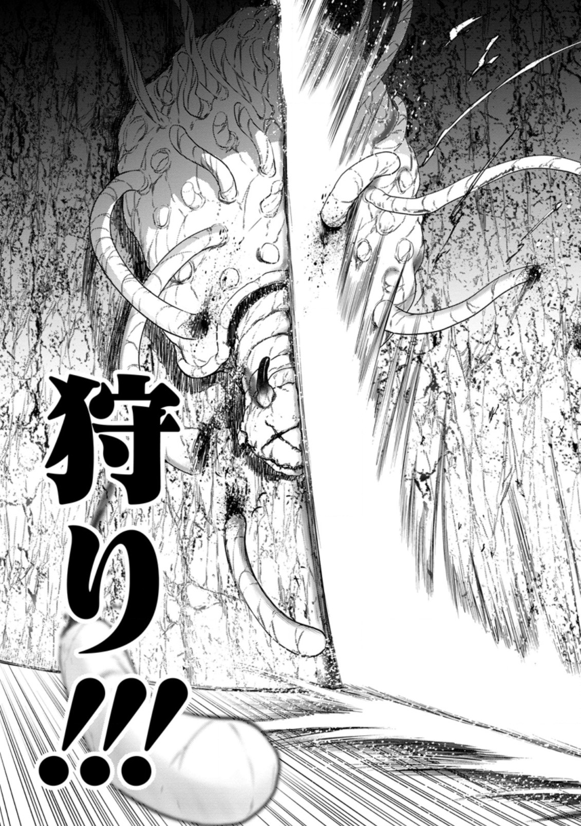Zatsuyou Fuyojutsushi ga Jibun no Saikyou ni Kidzuku made Chap 13.2 - Next Chap 14.2