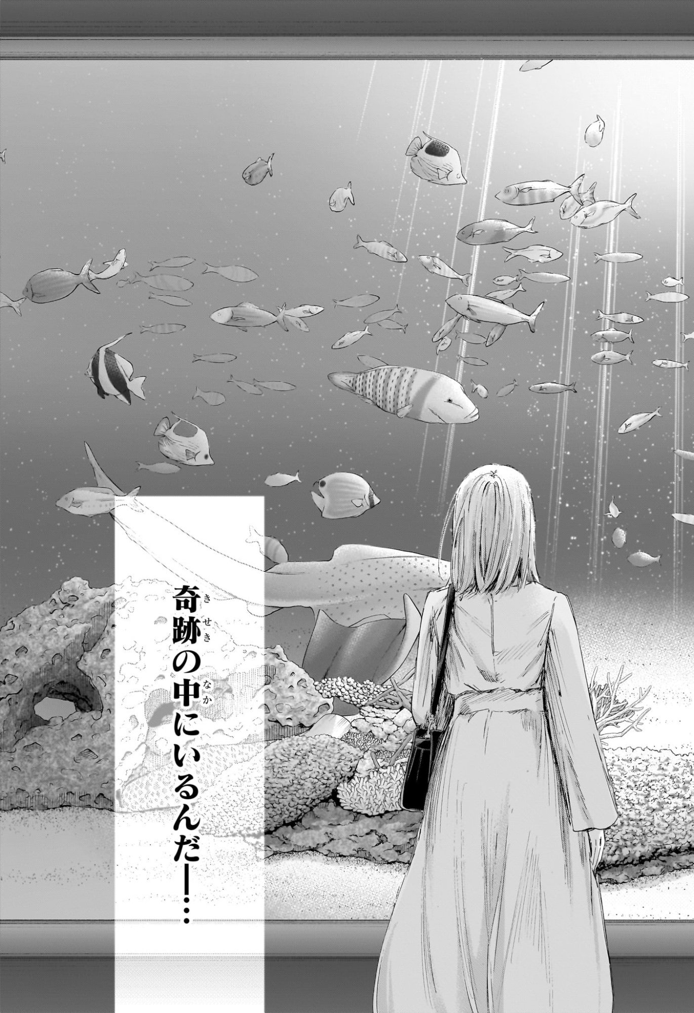 アオのハコ Chap 235 - Next Chap 236