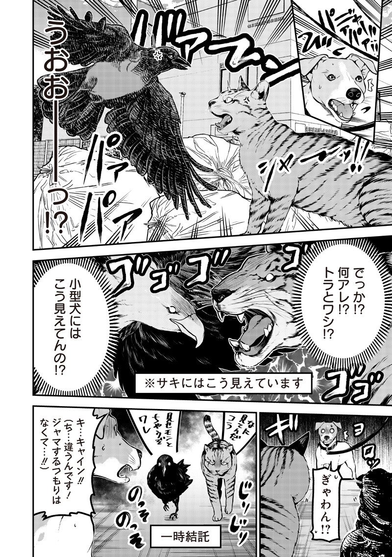 ポン太がヒトになりまして Chap 80 - Next Chap 81