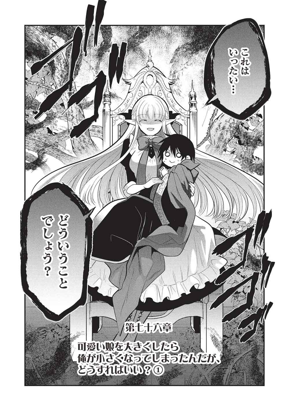魔奴嫁, 魔王の俺が奴隷エルフを嫁にしたんだが、どう愛でればいい Chap 76 - Next Chap 77