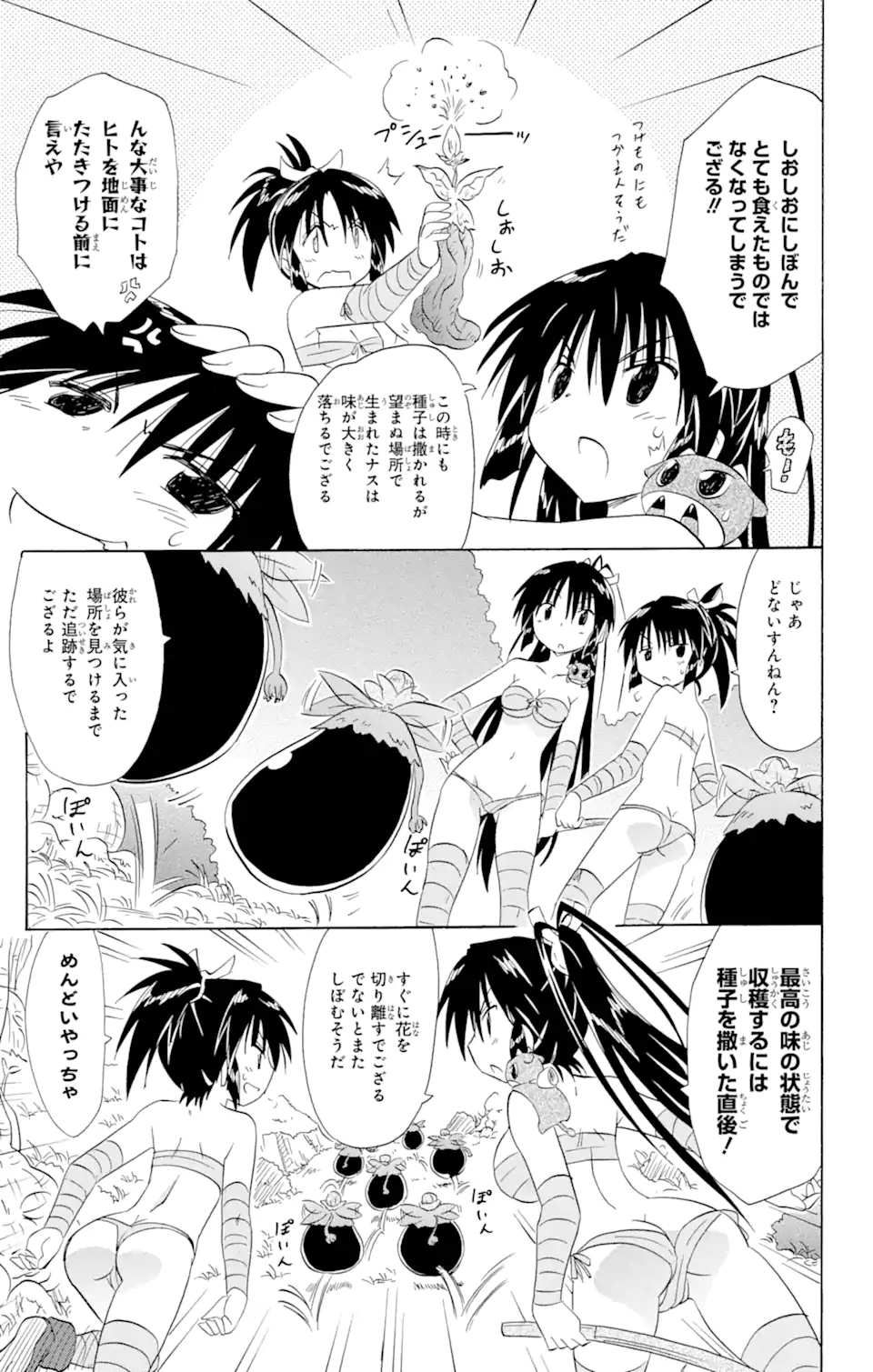 ながされて藍蘭島 Chap 162 - Next Chap 163