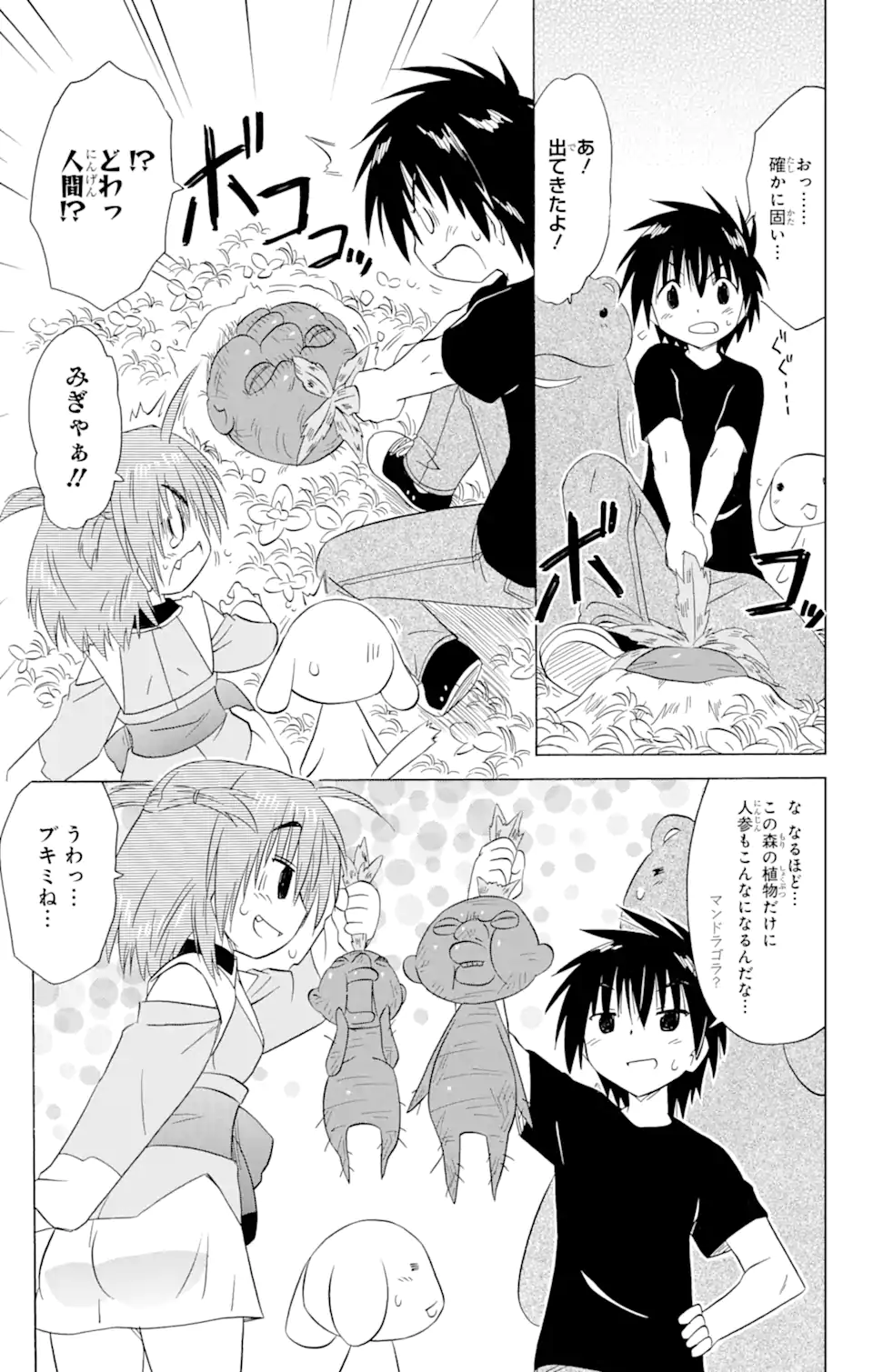 ながされて藍蘭島 Chap 189 - Next Chap 190