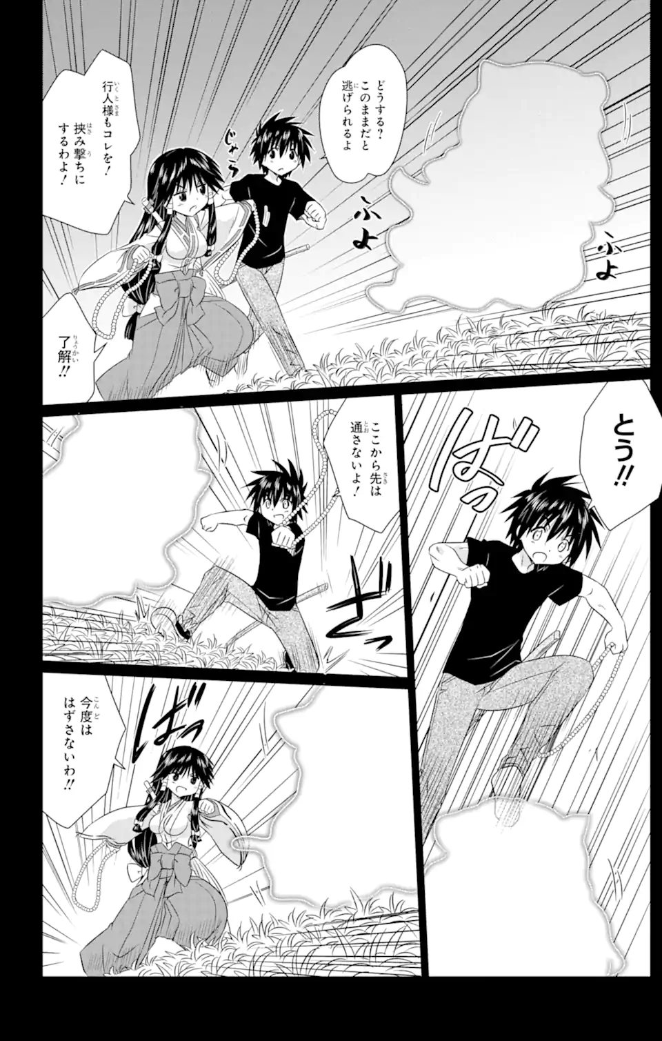 ながされて藍蘭島 Chap 241 - Next Chap 242