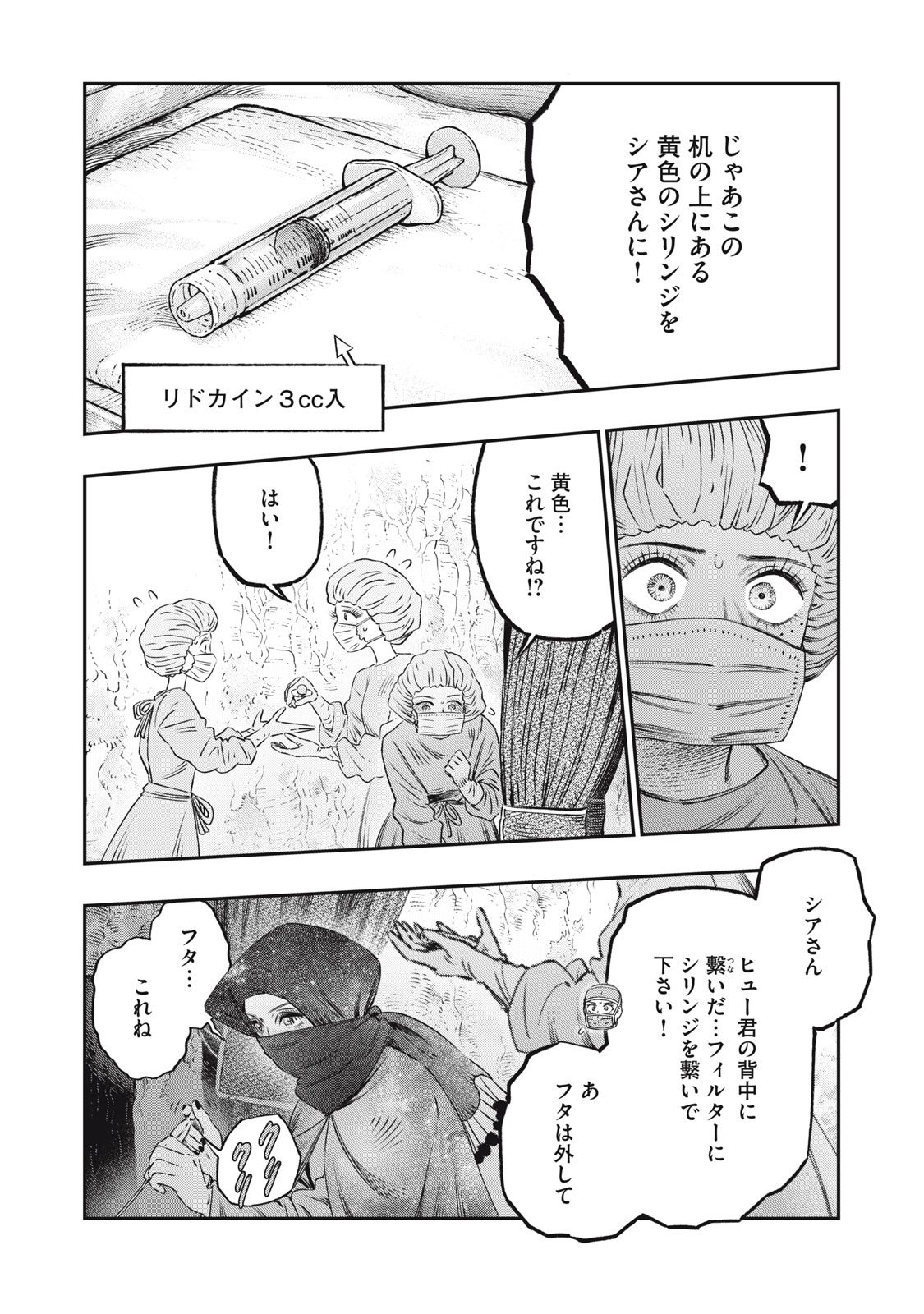 に発達した医学は魔法と区別がつかない Chap 17.2 - Next Chap 18.2