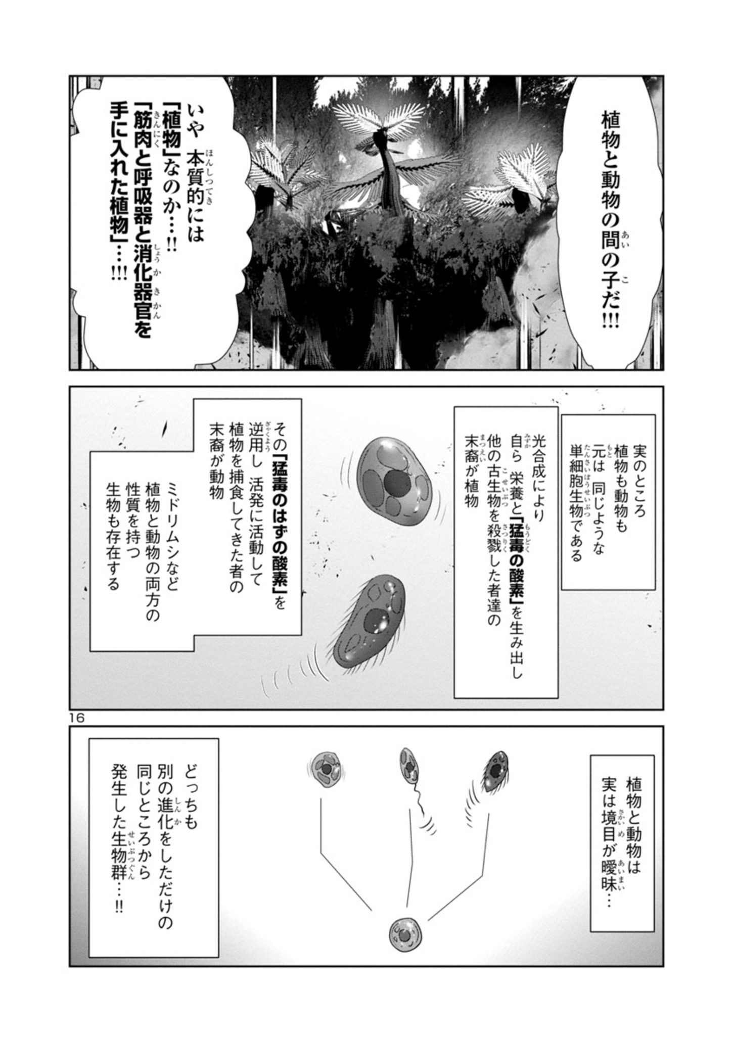 Kagaku-teki ni Sonzai shiuru Creature Musume no Kansatsu Nisshi Chap 58 - Next Chap 59