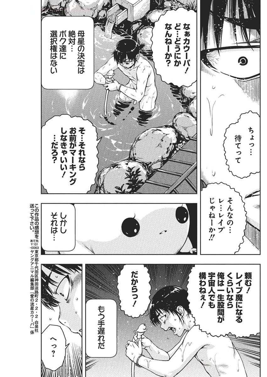 Love Shooting Star Cowwwwpa! Chap 12 - Next Chap 13