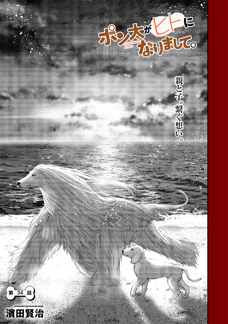 ポン太がヒトになりまして Chap 34 - Next Chap 35