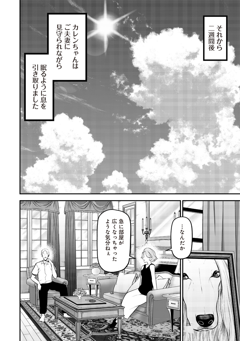 ポン太がヒトになりまして Chap 34 - Next Chap 35