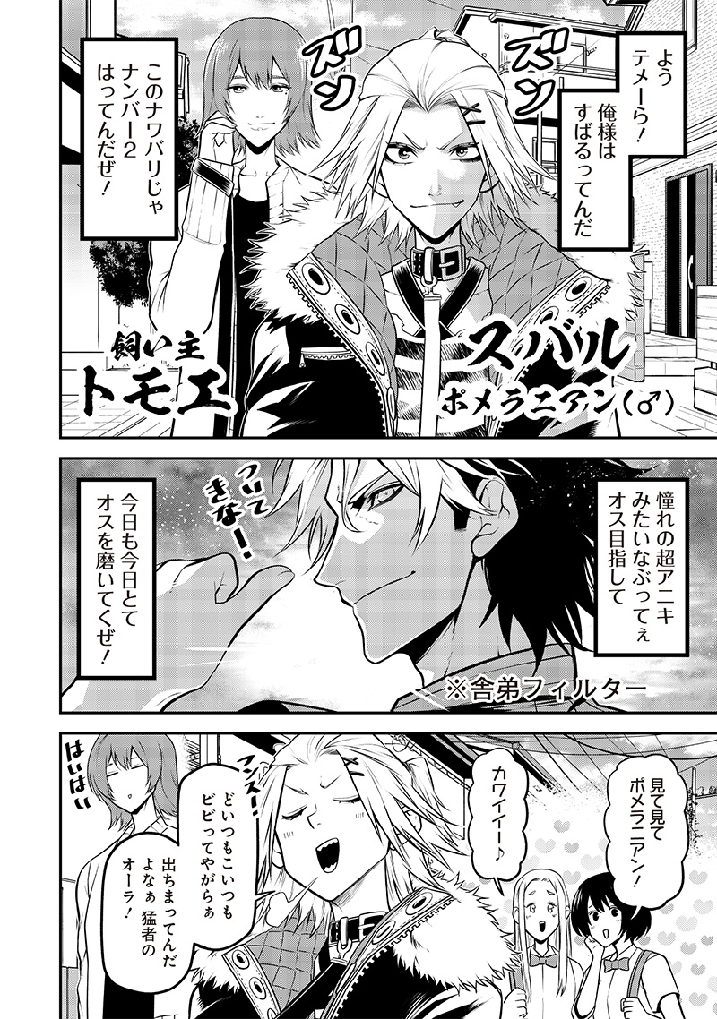 ポン太がヒトになりまして Chap 37 - Next Chap 38