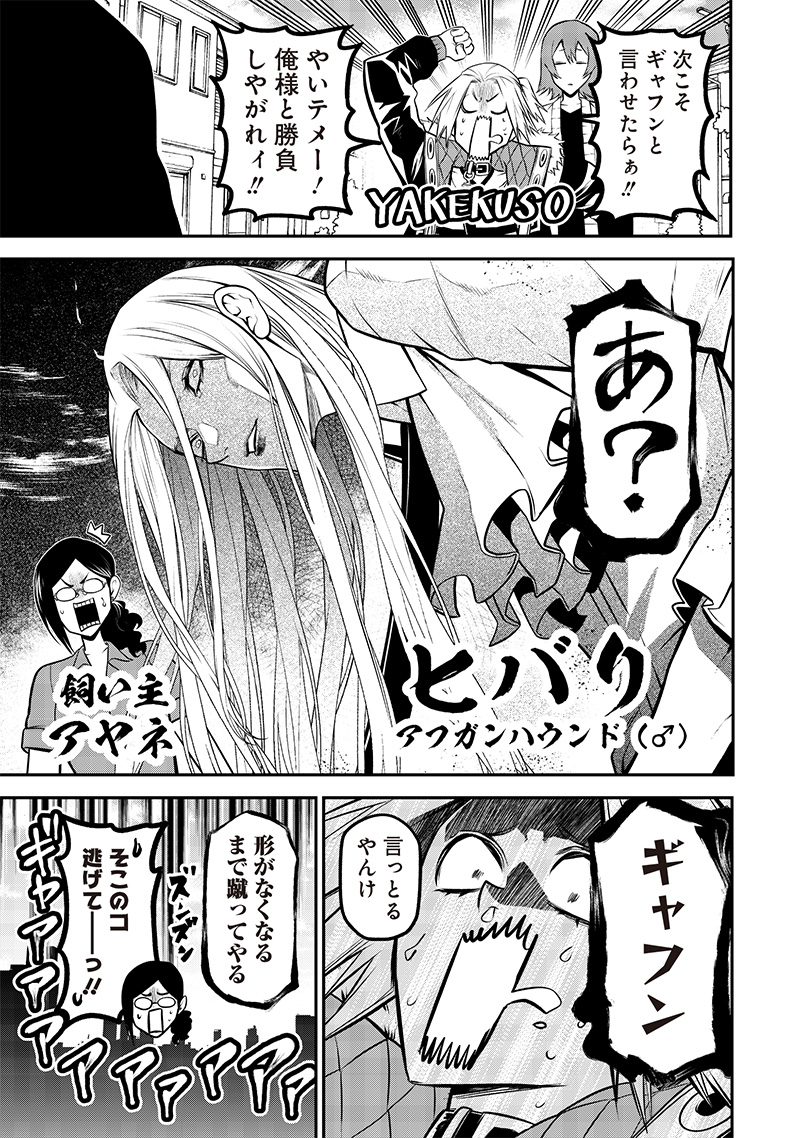 ポン太がヒトになりまして Chap 37 - Next Chap 38