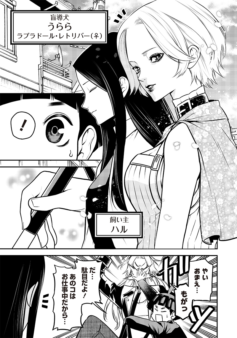ポン太がヒトになりまして Chap 31 - Next Chap 32