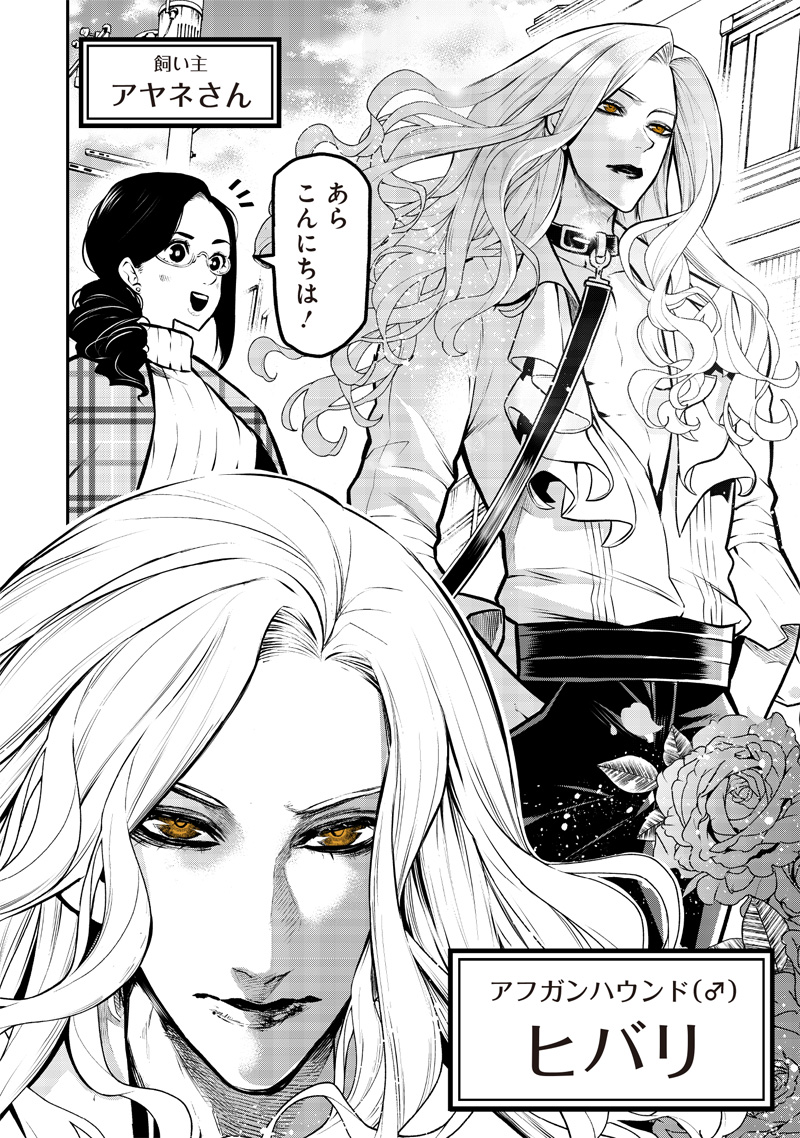 ポン太がヒトになりまして Chap 2 - Next Chap 3