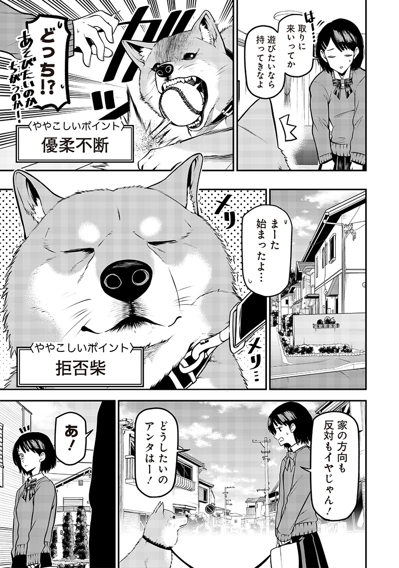 ポン太がヒトになりまして Chap 43 - Next Chap 44