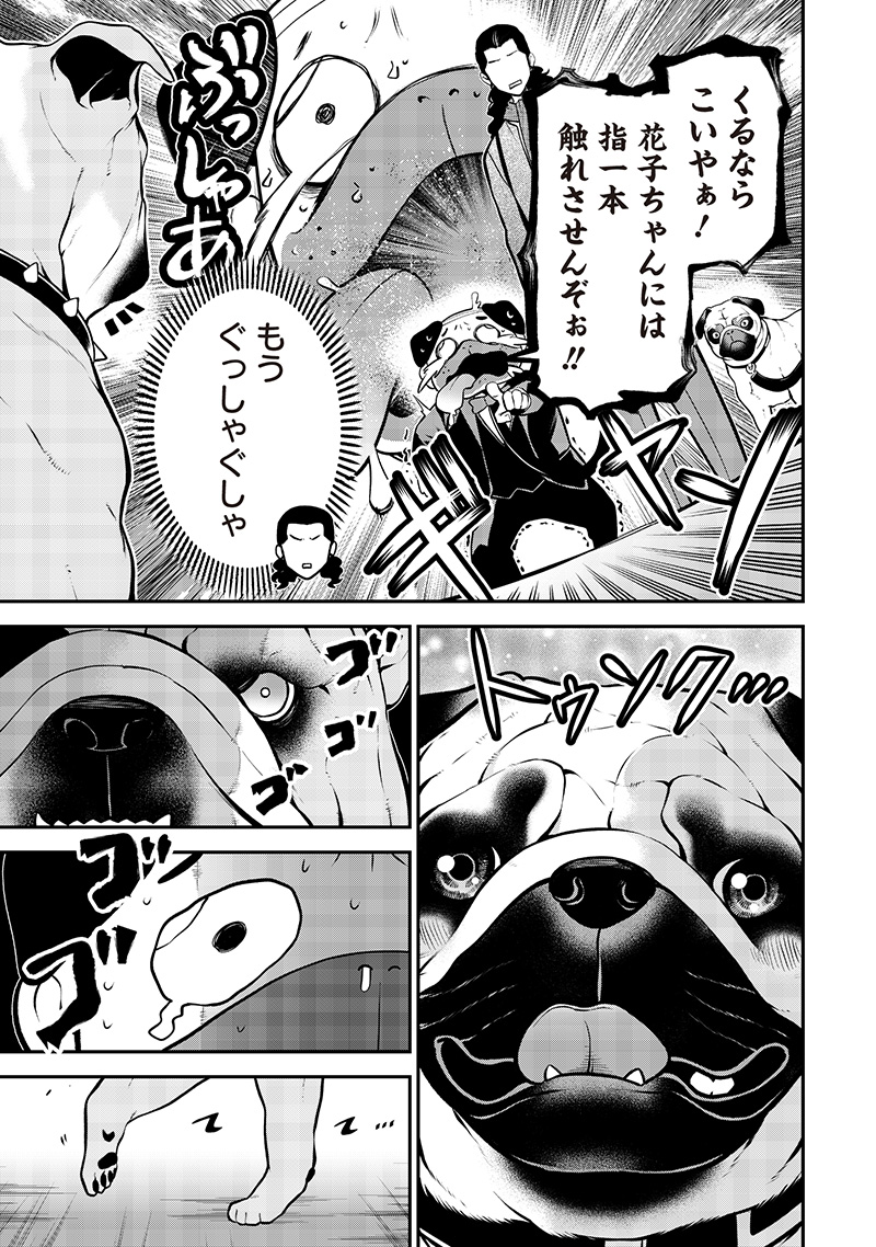 ポン太がヒトになりまして Chap 55 - Next Chap 56