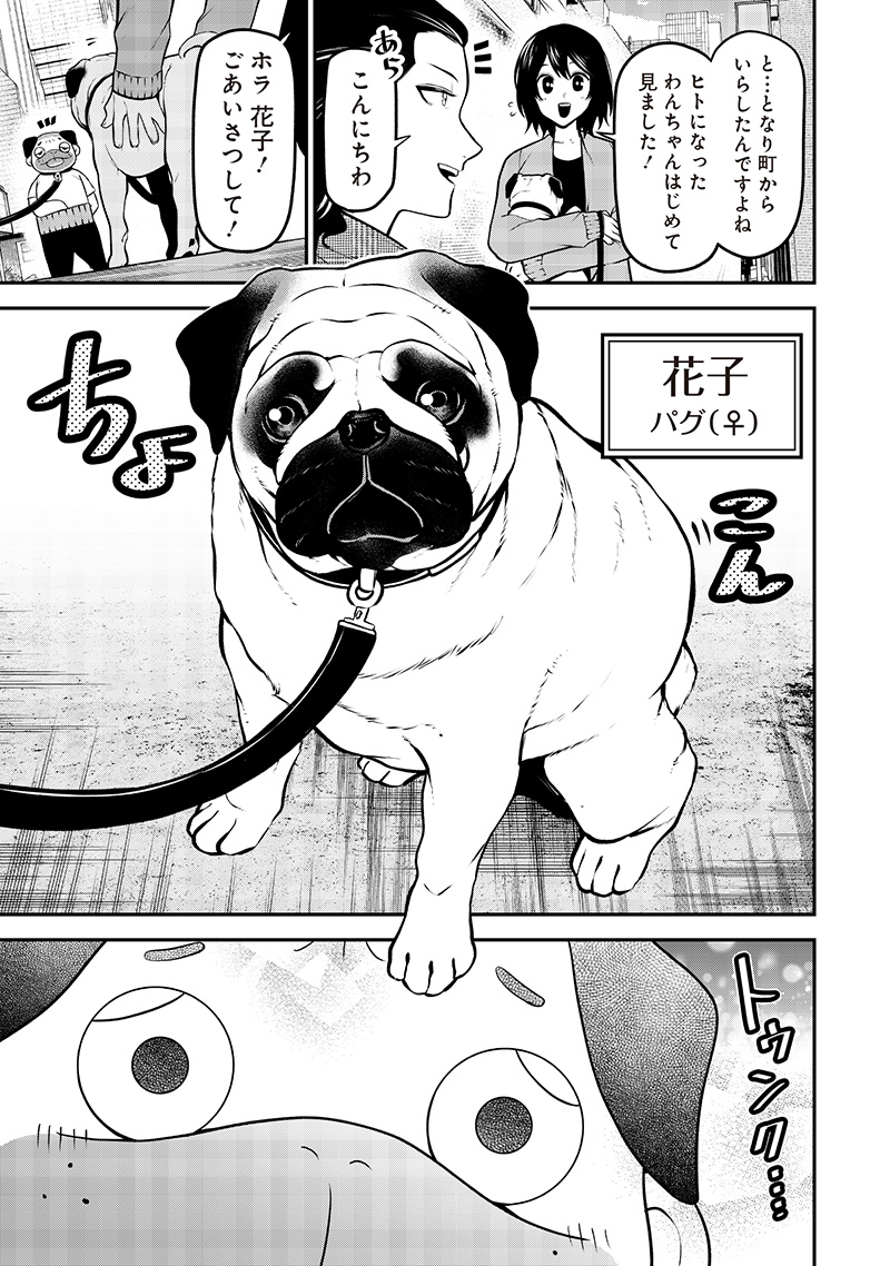 ポン太がヒトになりまして Chap 55 - Next Chap 56