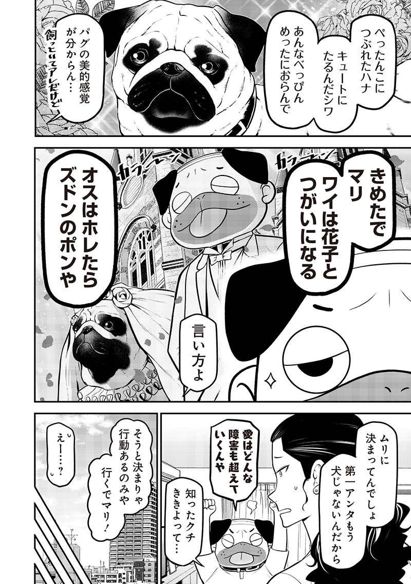 ポン太がヒトになりまして Chap 55 - Next Chap 56