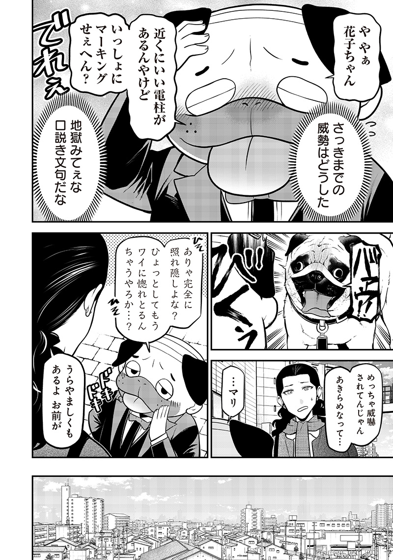 ポン太がヒトになりまして Chap 55 - Next Chap 56