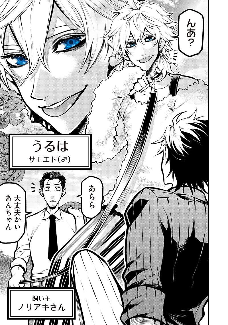 ポン太がヒトになりまして Chap 6 - Next Chap 7