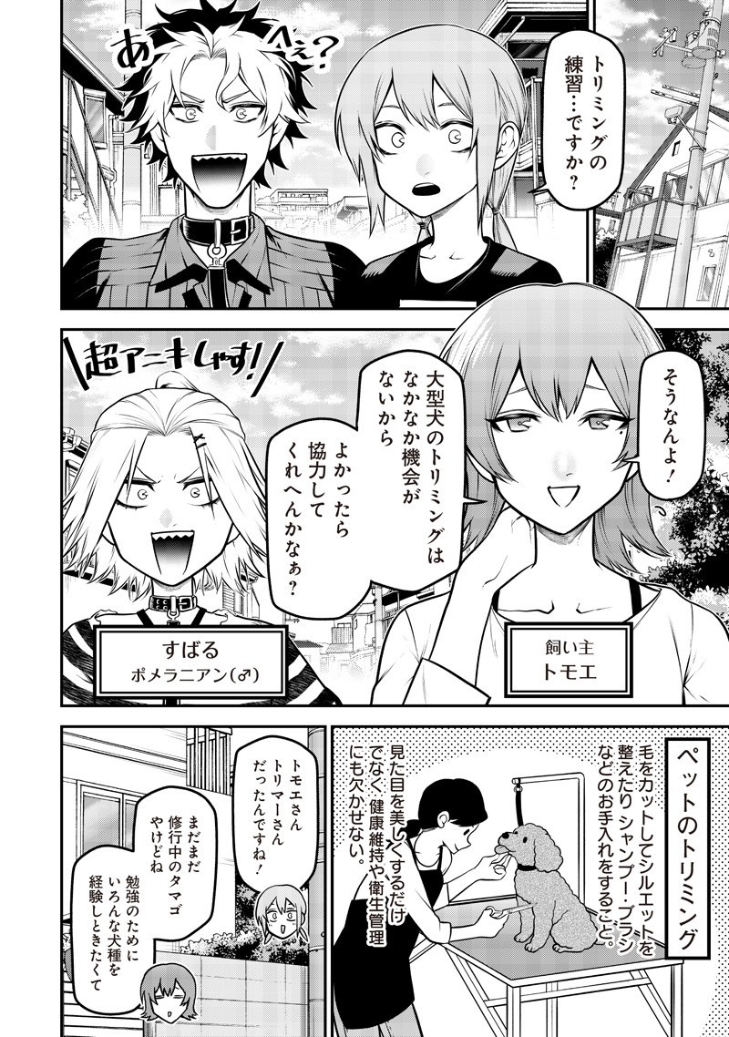 ポン太がヒトになりまして Chap 63 - Next Chap 64