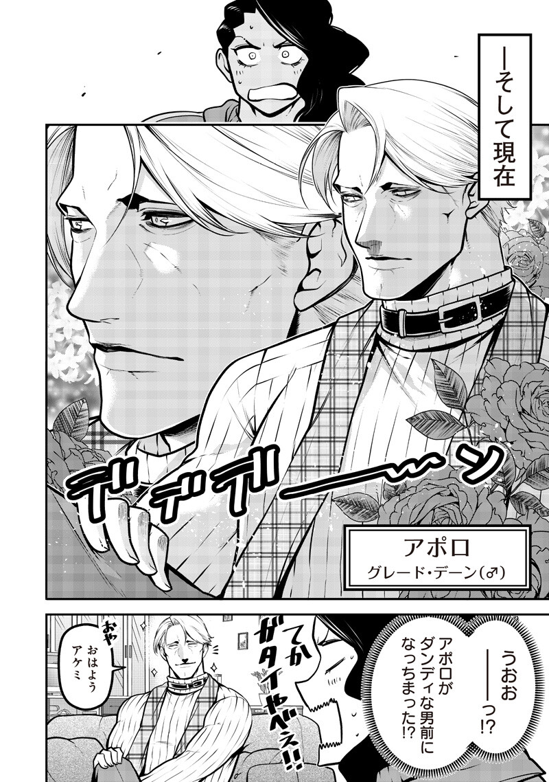 ポン太がヒトになりまして Chap 72 - Next Chap 73