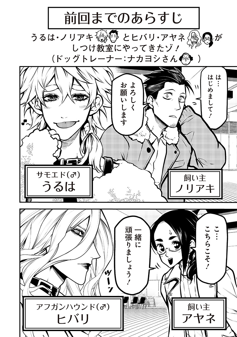 ポン太がヒトになりまして Chap 9 - Next Chap 10