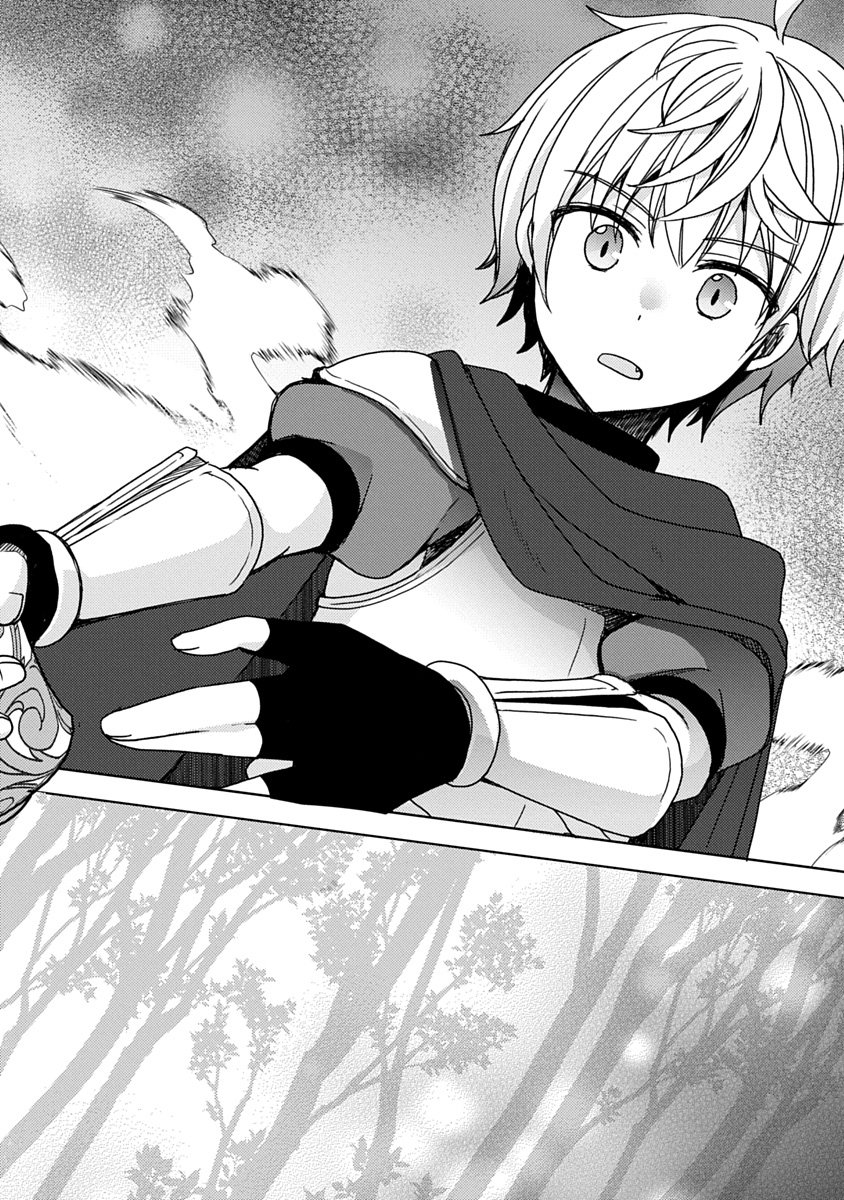 Saikyou Sutetasu wo Hikitsuide Ningen ni Tensei Shita Kiyoshijuu Behemoth, Yuusha no Konnyakusha (Ohime-sama) wo Ukkari Netotte Shimau Chap 13 - Next Chap 14