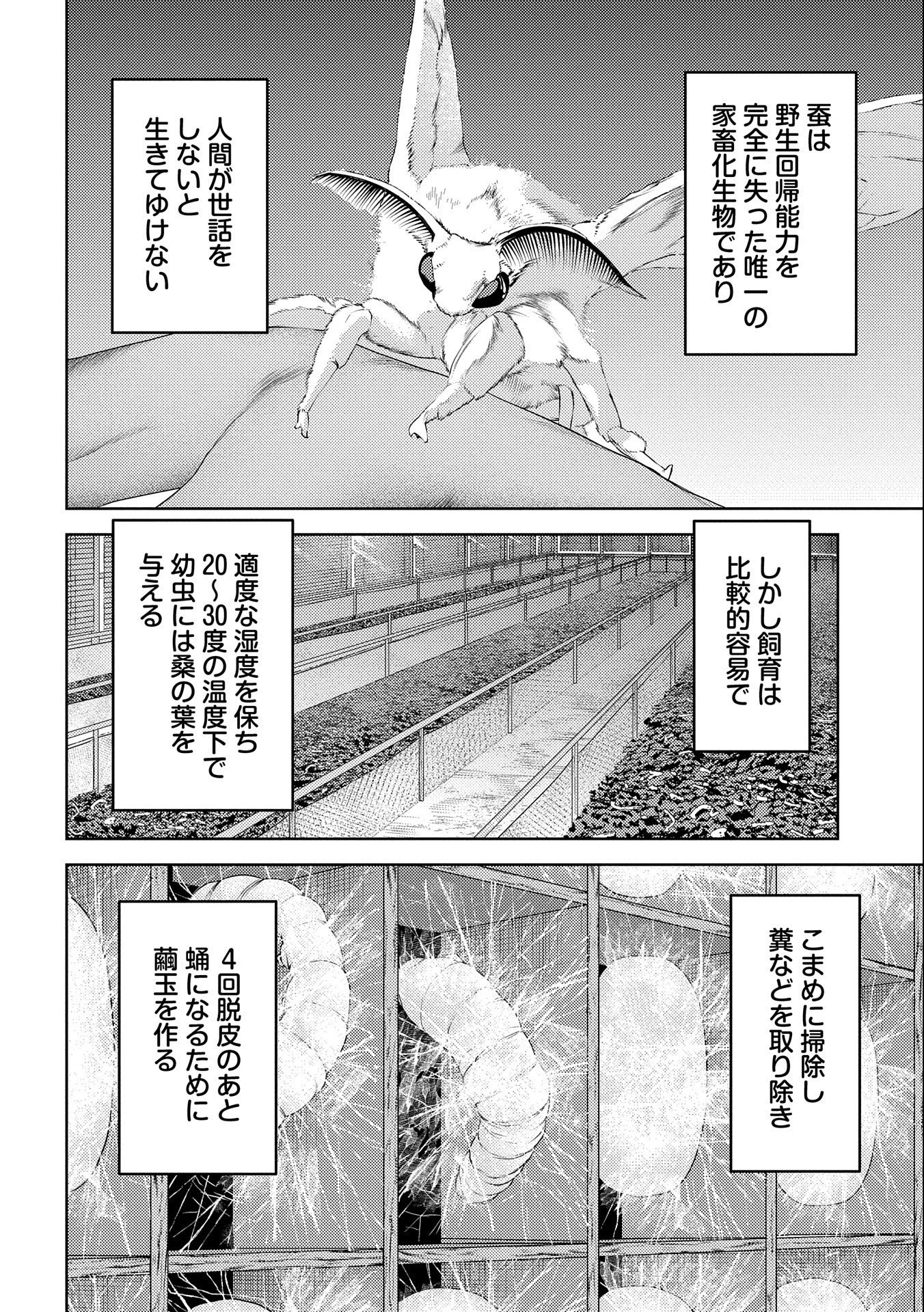 Sengoku Komachi Kuroutan Chap 74 - Next Chap 75