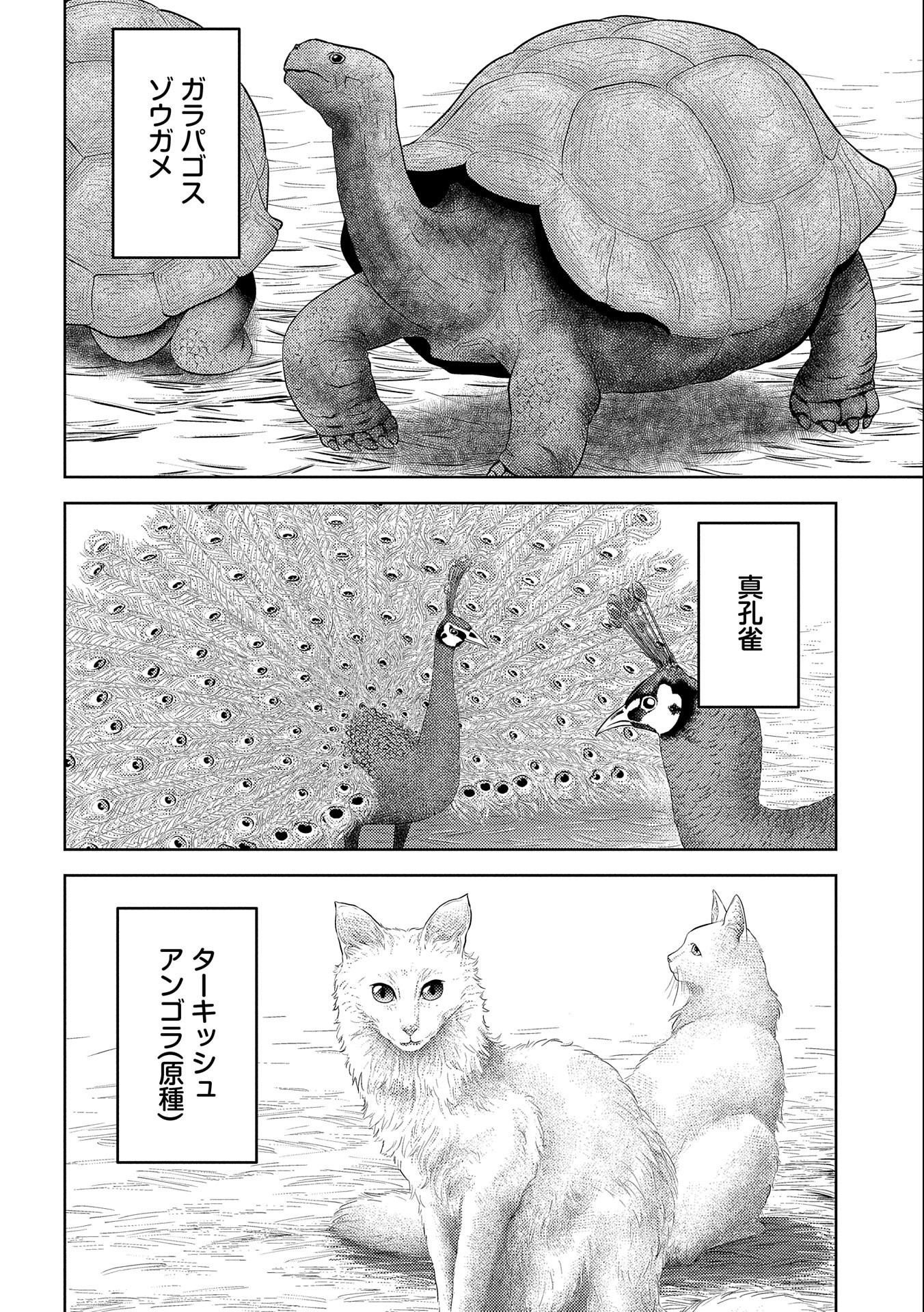 Sengoku Komachi Kuroutan Chap 43 - Next Chap 44