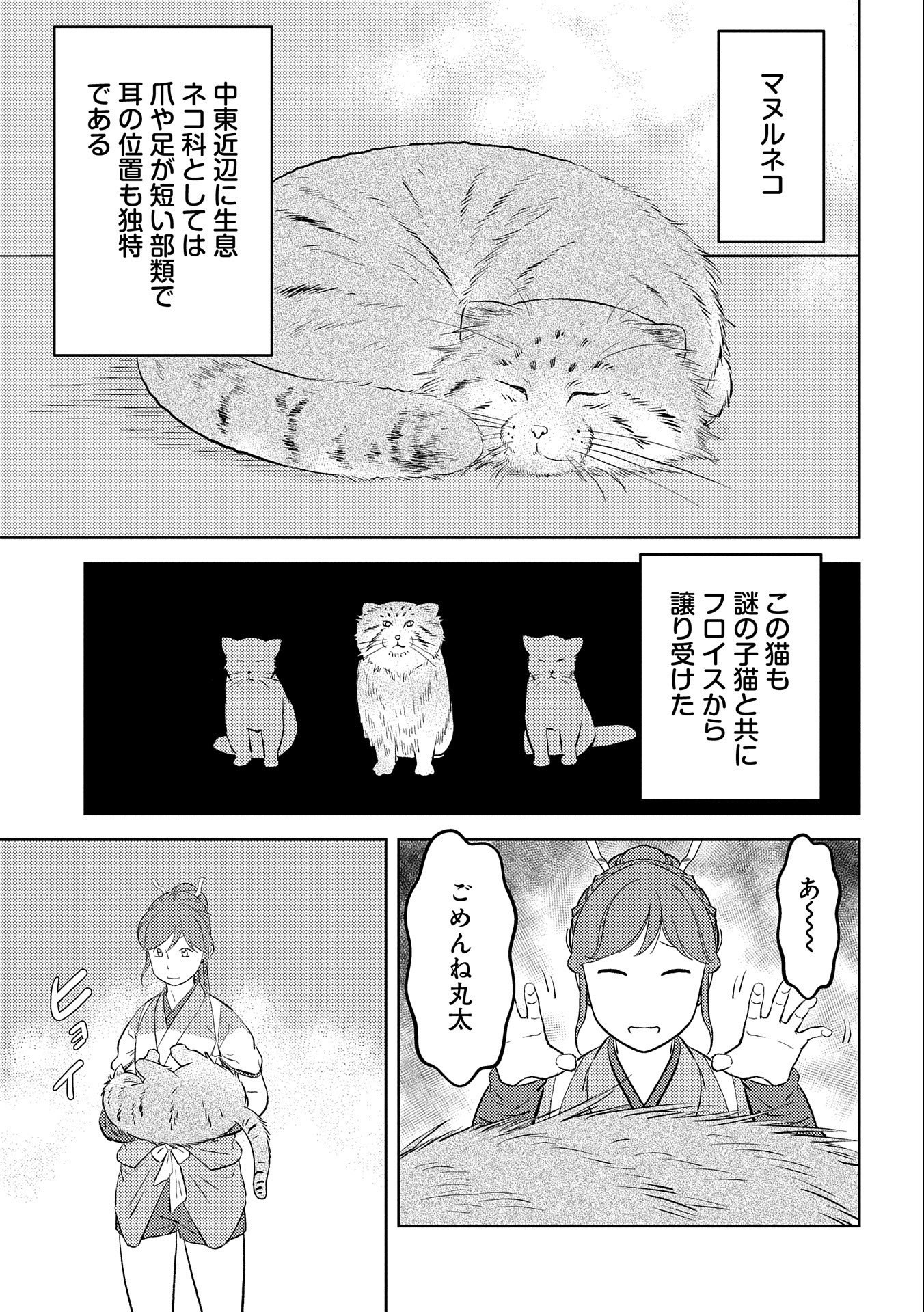 Sengoku Komachi Kuroutan Chap 57 - Next Chap 58