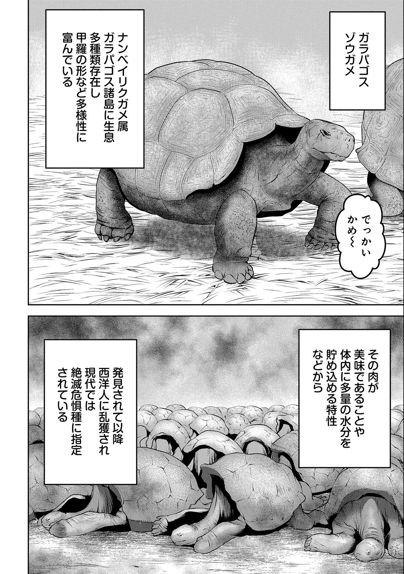 Sengoku Komachi Kuroutan Chap 57 - Next Chap 58