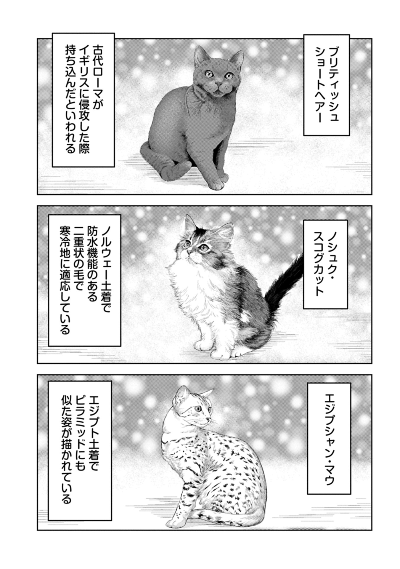 Sengoku Komachi Kuroutan Chap 89.1 - Next Chap 90.1